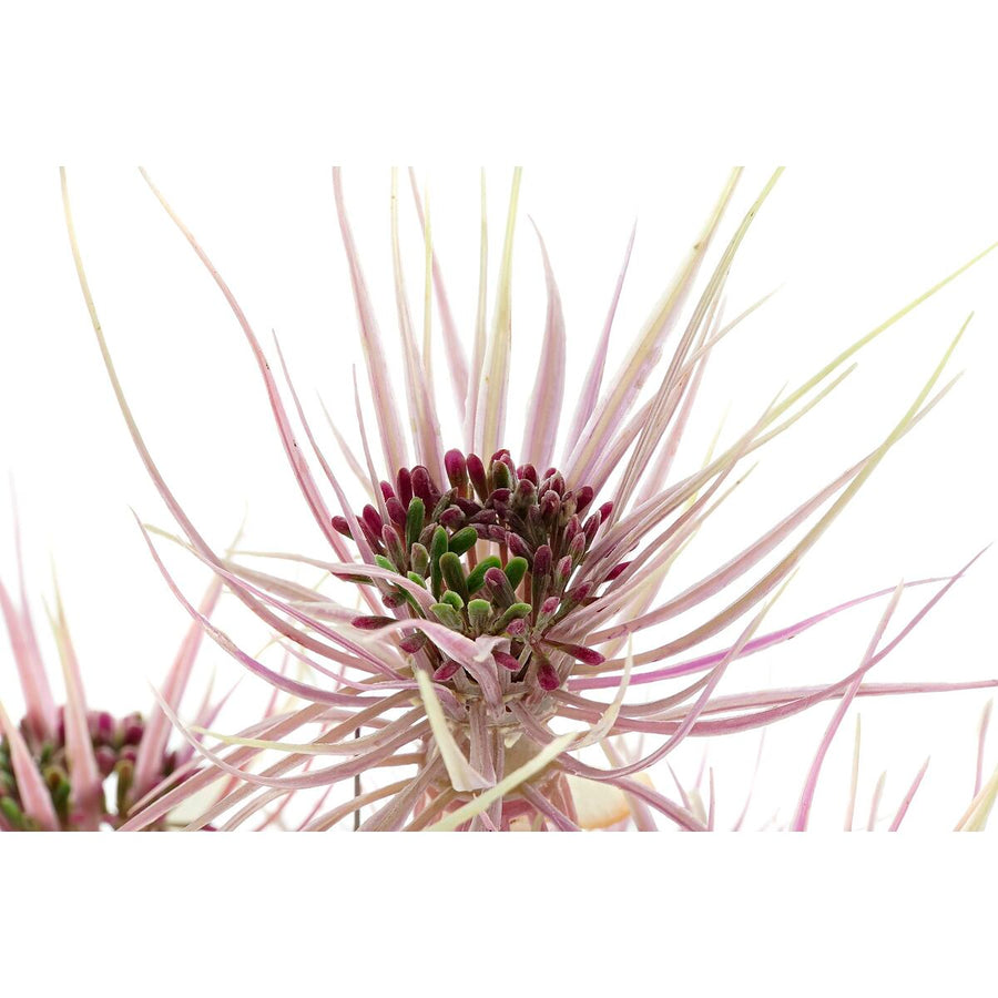 V10HE67FF705CD0F8BF0CF8C8C2EB173A2F0R5661371P4