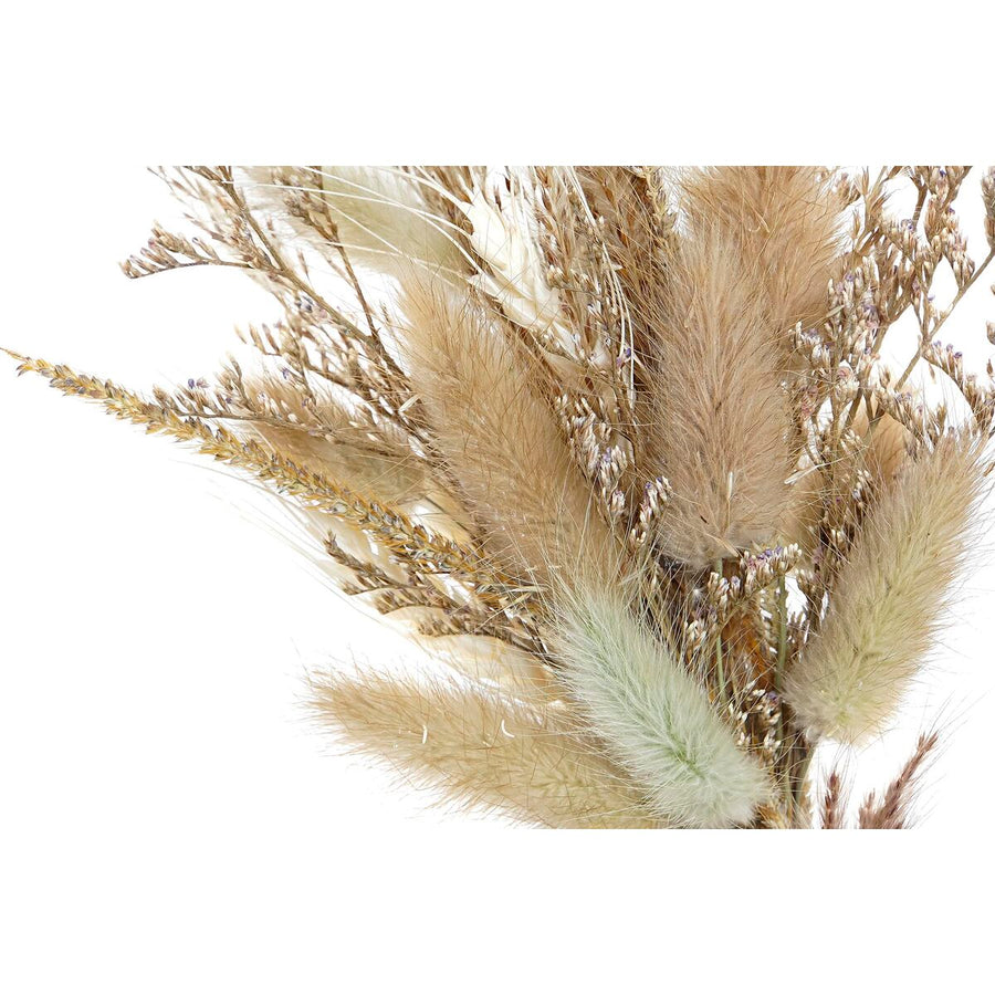 V8H1BE67D13ED09BDB529E67B62FB6ECED5R4417442P2