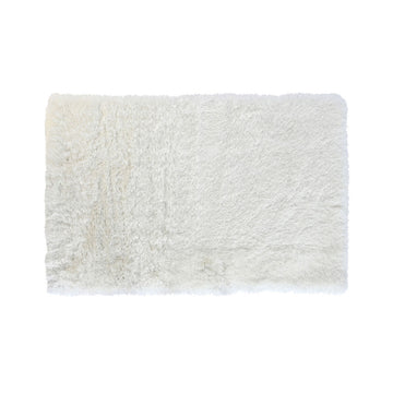 V6HC13E9F362F5ED7E5400A06A9CFDED82DR2401334P1