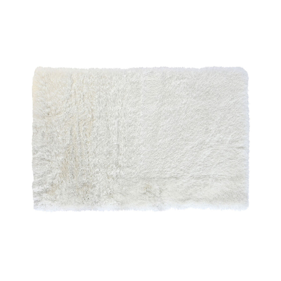 V6HC13E9F362F5ED7E5400A06A9CFDED82DR2401334P1