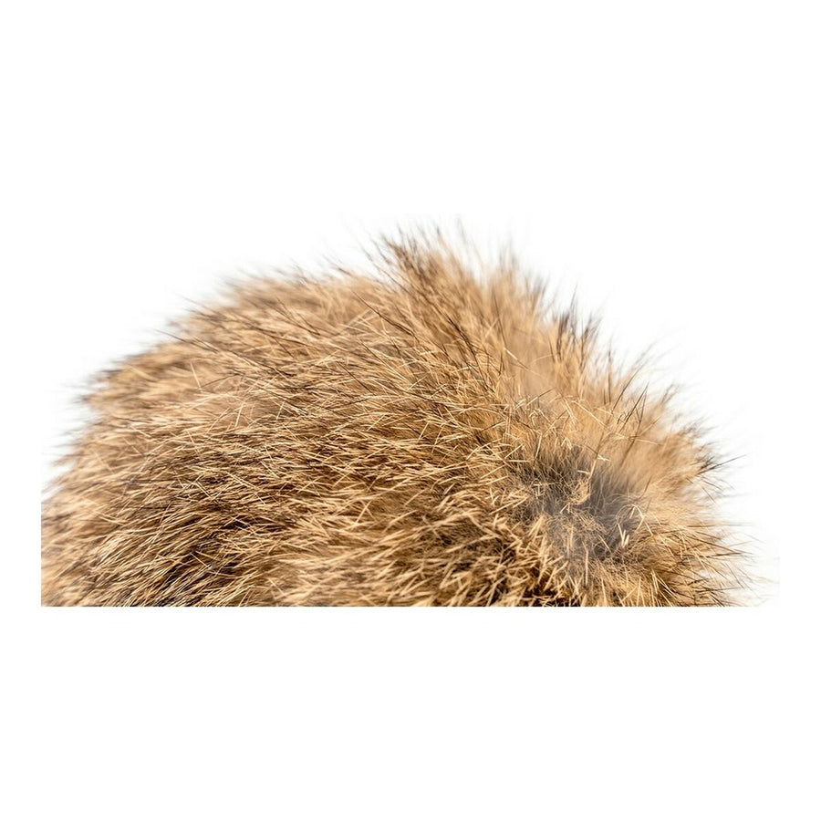 V10HB7112E8F9387F2303E57DC7D1443ED06R4263210P5