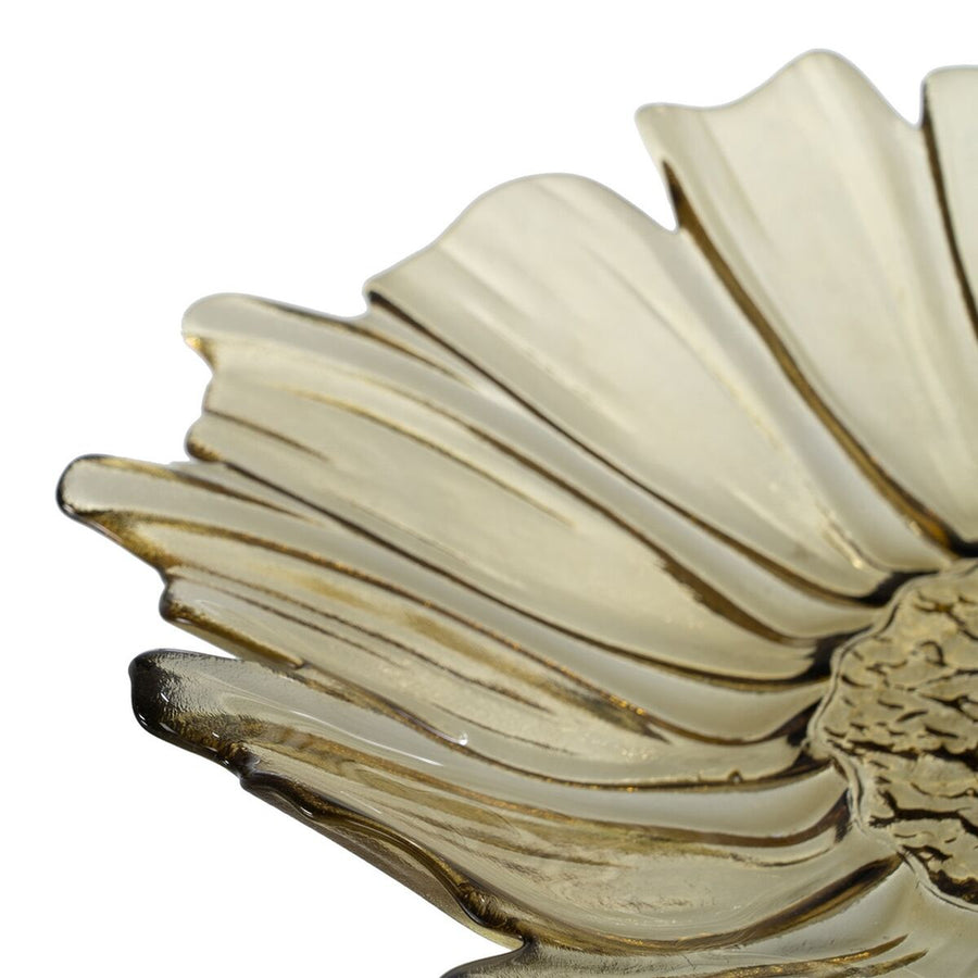 V7H82E5F2AA9333784C5C55503E605591E2R6294450P4