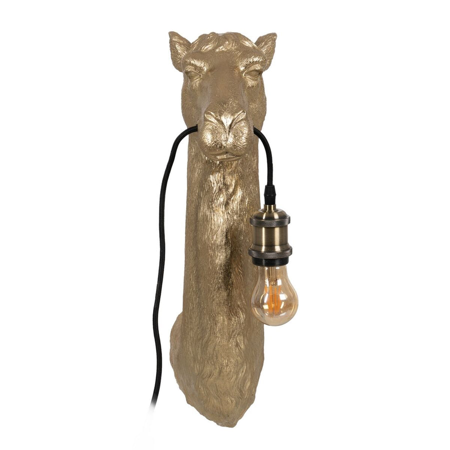 V7HEB6C6B9EA2B8FC9AAA392B8E06D6F425R3703255P2