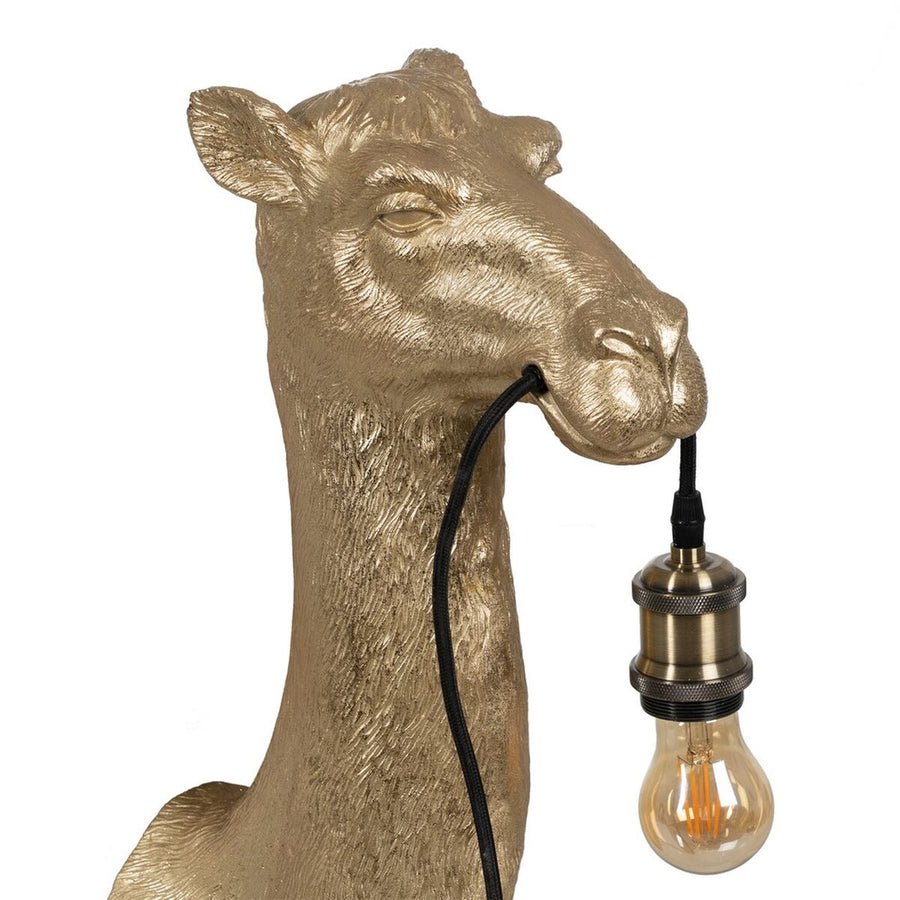 V7H82D65BD238C31D8C1D3F8A2C4BDE97D6R3703259P6