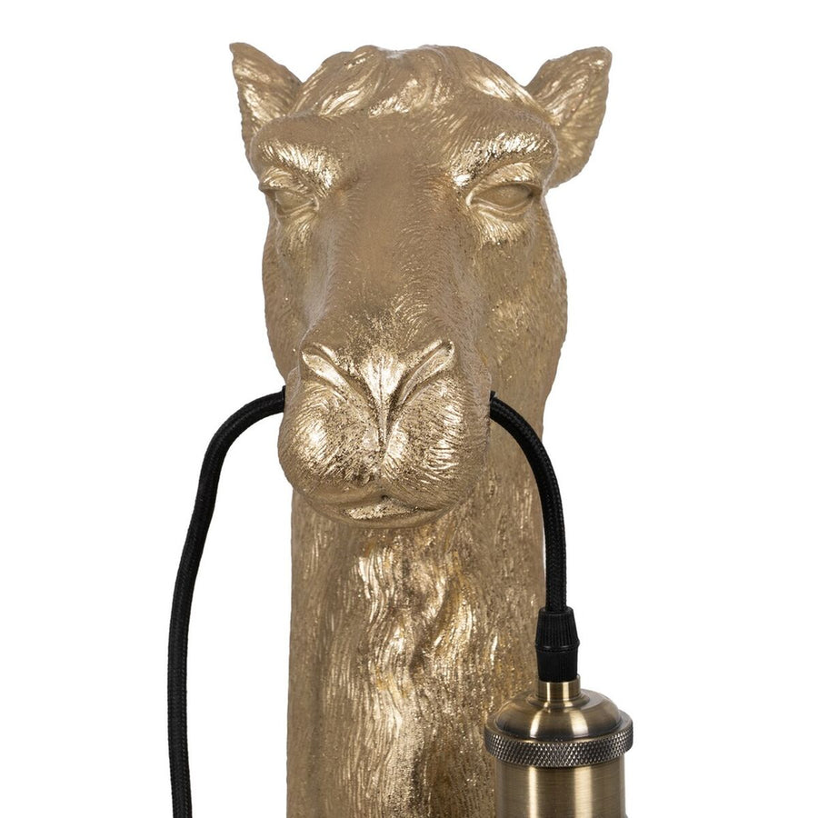 V7HB3E93947DACC8120E8110CD876A7F1EAR3703260P7