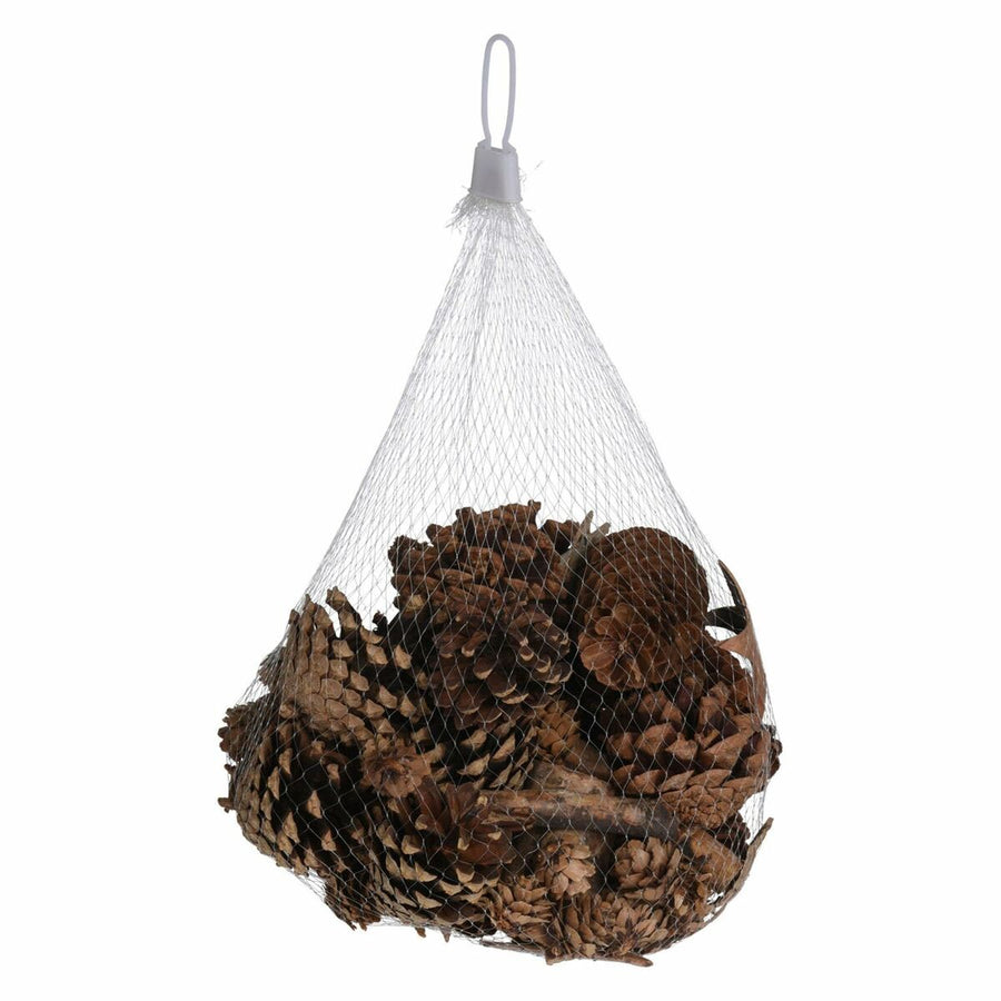 V3H99B21F15247159F5E0853BB411C6C13ER7469429P2