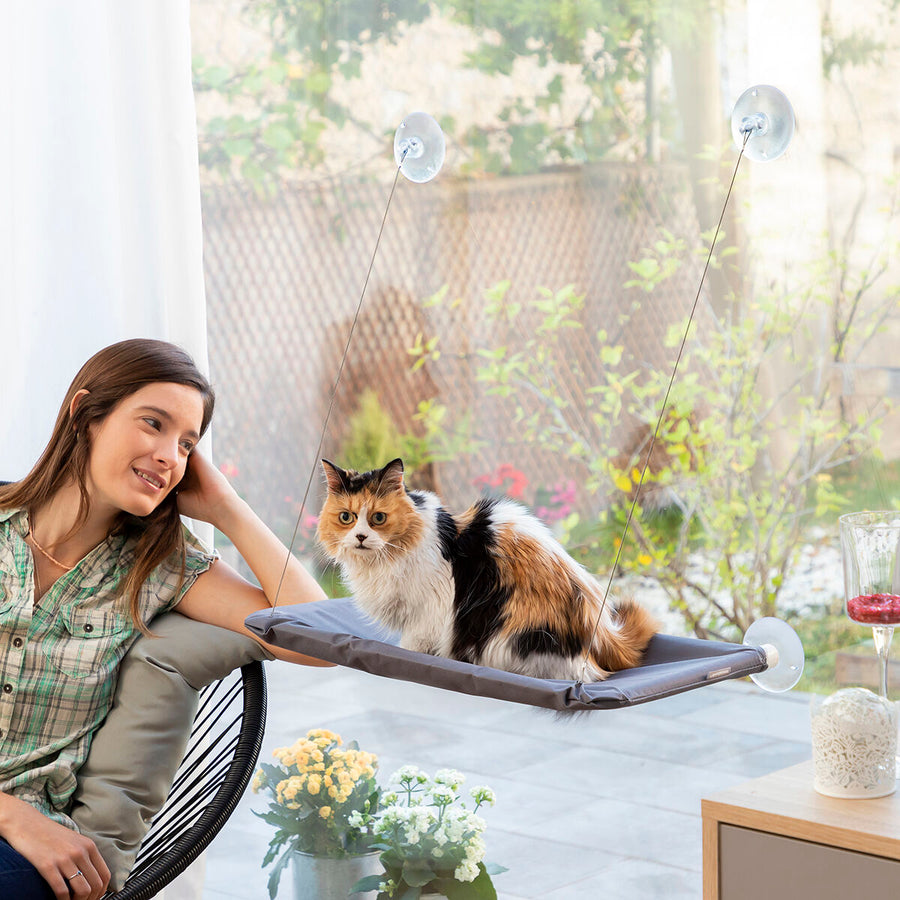 V13HCB07521C75C8D0FB33FD62EADF925705R5277795P2