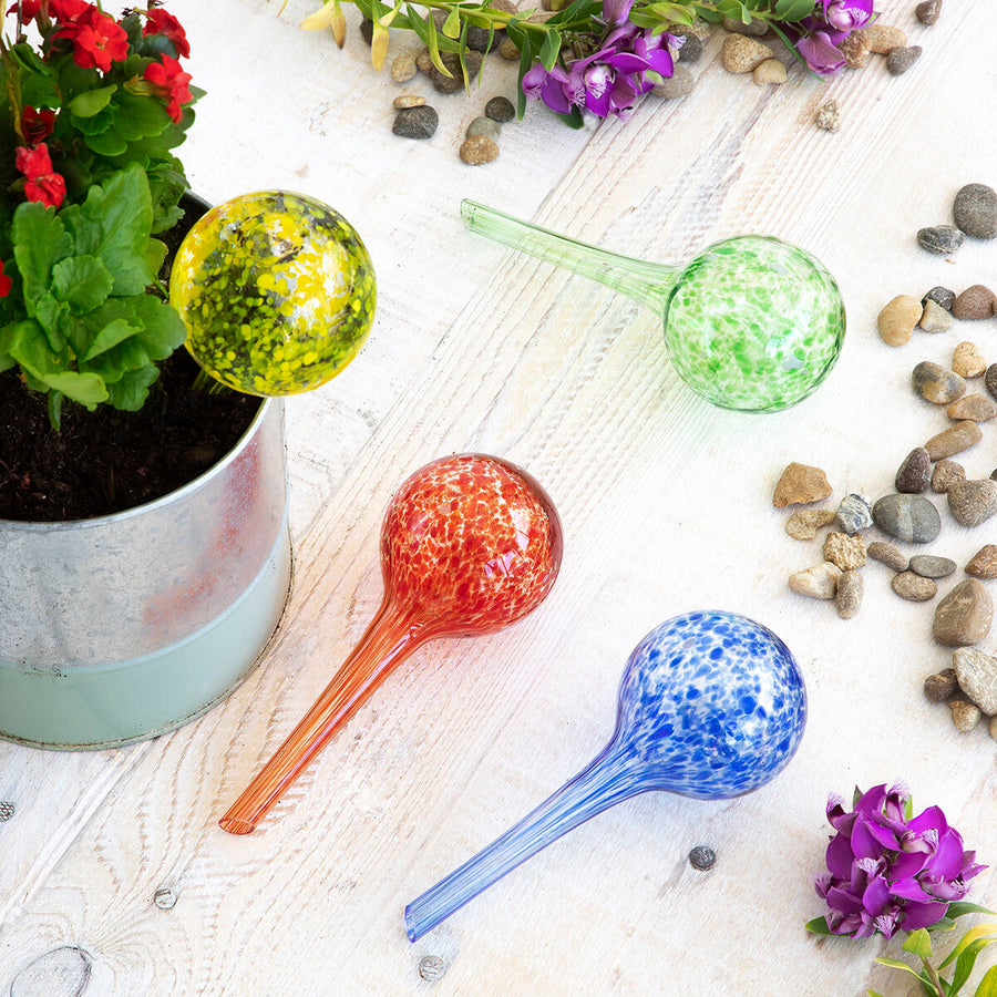 V12H0CB78377FF0683281A93081151A6837DR5254318P5